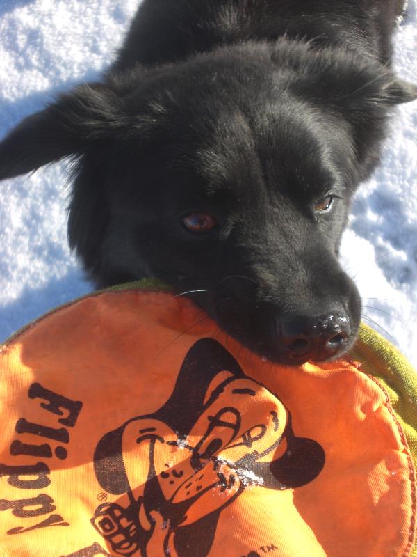 /Images/uploads/Humane Society of Utah/HSUCalendar/entries/900thumb.jpg